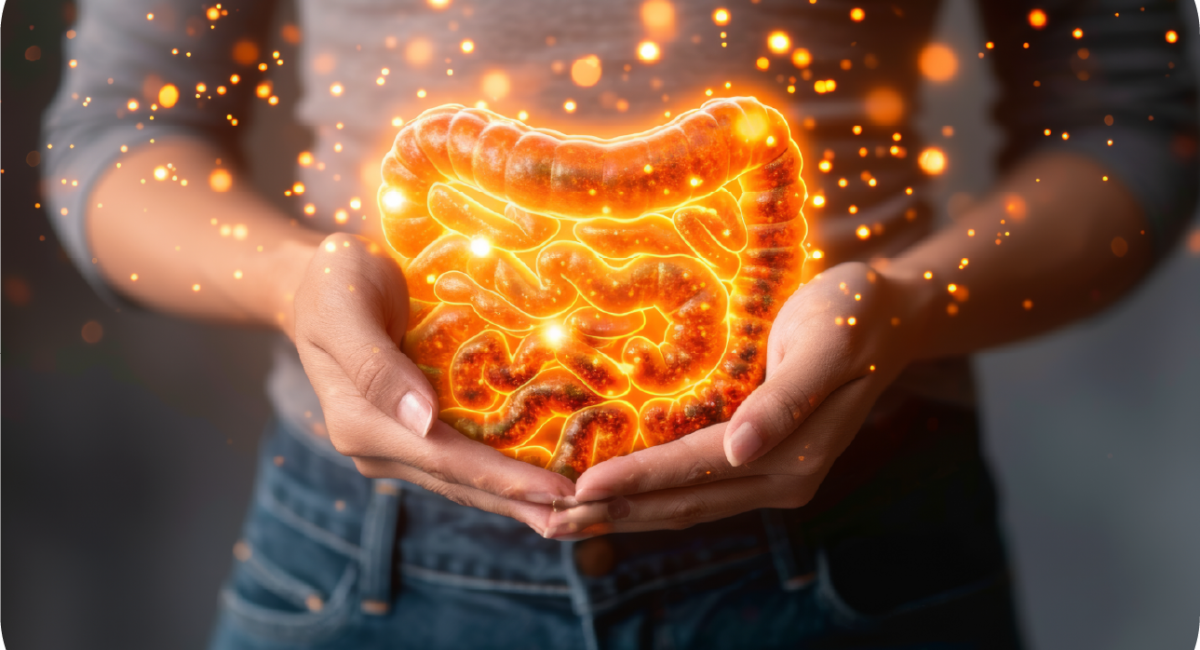 Intestino em Equilíbrio, Cabelos Fortes